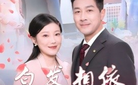 短剧《白发相依胜春风 (2025)》全集免费在线观看