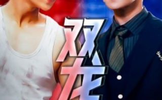 短剧《双龙会（92集全）》免费观看