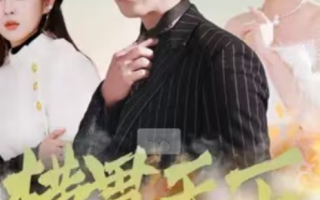 短剧《横贯天下（80集全）》免费观看