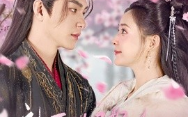 短剧《神医世子妃被全家宠上天（80集）王昱凯＆许丹 (2025)》全集免费在线观看