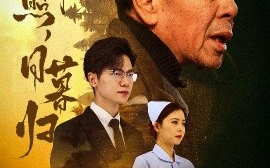 短剧《春晖照，日暮归 (2025)》全集免费在线观看