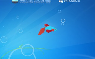 电脑公司Win10 64位 专业版V2021.09(专业版)