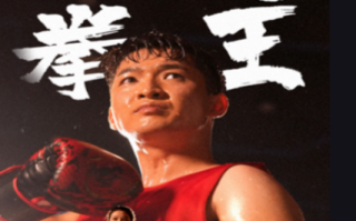 短剧《我不是拳王（73集全）》免费观看
