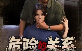 短剧《危险的关系（55集）伊晨&张恩浩 (2025)》全集免费在线观看