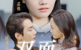 短剧《丈夫的双面人生 (2025)》全集免费在线观看