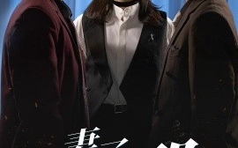 短剧《妻子为何那样（60集）杜星瑶&刘磊 (2025)》全集免费在线观看