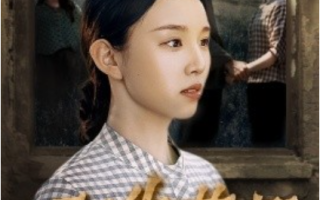 短剧《双生荣耀（71集全）》免费观看