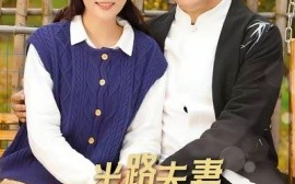 短剧《半路夫妻暖心年 (2025)》全集免费在线观看
