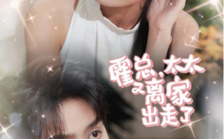 短剧《霍总，太太又离家出走了（91集全）》免费观看