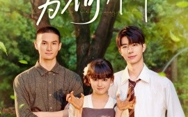 短剧《哥哥们为何对我那样（64集）赵影 (2025)》全集免费在线观看