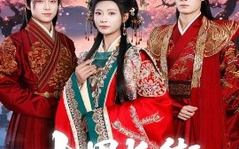 短剧《十里长街跪月光（60集）杨瑾羽&刘叁肆 (2025)》全集免费在线观看