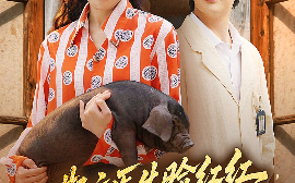 短剧《斯文医生脸红红，追着老婆哄（94集）朱湉亿&赵垣又 (2025)》全集免费在线观看
