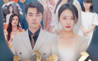 短剧《女婿回乡（120集全）》免费观看