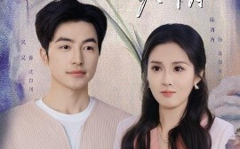 短剧《唯有深情失所有（30集）吴昊&陈酉昔 (2025)》全集免费在线观看