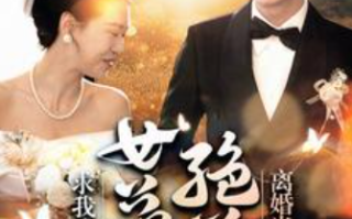 短剧《离婚当日，绝美女总裁求我娶她（95集全）》免费观看