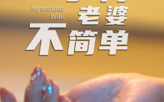 短剧《掌门老婆不简单（84集全）》免费观看