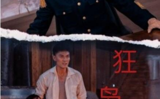 短剧《狂枭（71集全）》高清免费在线观看