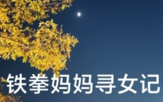 短剧《铁拳妈妈寻女记（69集全）》免费观看