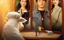 短剧《我能倾听动物心声（50集）(2025)》全集免费在线观看