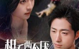 短剧《相看两不厌 (2025)》全集免费在线观看