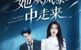 短剧《她从风暴中走来（60集）孙博文＆路文卓 (2025)》全集免费在线观看