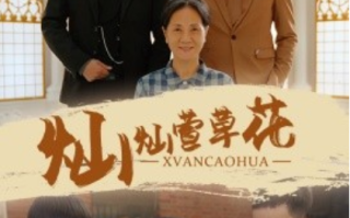 短剧《灿灿萱草花（72集全）》免费观看