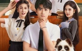 短剧《骑驴上学2：御剑飞行赶早八（66集）余戬＆苏西&金美希&李芊乐&陈楚琦 (2025)》全集免费在线观看