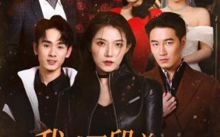 短剧《我成了段总的腹黑女保镖（67集全）》免费观看
