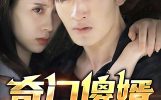 短剧《奇门傻婿（奇门神婿）》1-98全集免费观看