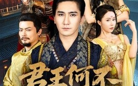 短剧《君王何不配吴钩（66集）高迦澜＆董洁 (2025)》全集免费在线观看