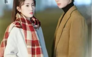 短剧《你是我的难忘时光（18集全）》免费观看