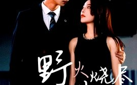 短剧《野火烧尽芳草时（65集）黄垚＆闫妍 (2025)》全集免费在线观看 