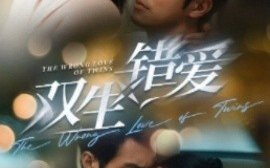短剧《双生错爱 (2025)》全集免费在线观看