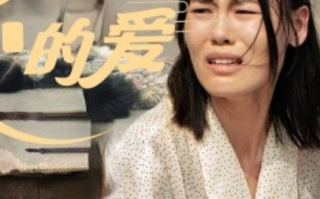 短剧《遗失的爱（30集全）》免费观看