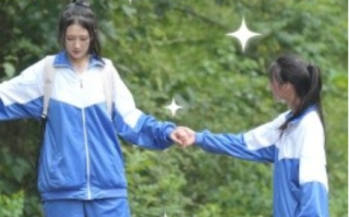 短剧《双生花（36集全）》免费观看