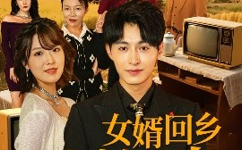短剧《女婿回乡全村风光（69集）(2025)》全集免费在线观看