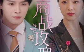 短剧《商战玫瑰（30集）王思齐&李彬航 (2025)》全集免费在线观看