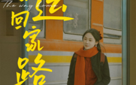 短剧《春运回家路 (2025)》全集免费在线观看