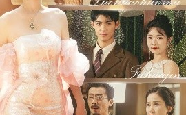 短剧《落花春暮浮华烬（60集）蔡杨光子&于小野 (2025)》全集免费在线观看 