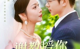 短剧《谢教授你太直球了（160集）王千硕＆彭千玲 (2025)》全集免费在线观看