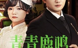 短剧《青青鹿鸣（70集）黄小再&阳欣珂 (2025)》全集免费在线观看