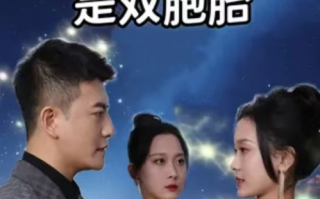 短剧《我的总裁老婆是双胞胎（84集全）》免费观看