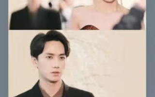 短剧《枭爷，叶小姐又来求婚了（75集全）》免费观看