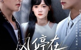 短剧《风停在转身时（72集）黄小再＆秦远 (2025)》全集免费在线观看