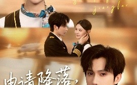 短剧《申请降落，请予通过（60集）林世杰＆丁紫嫣 (2025)》全集免费在线观看 