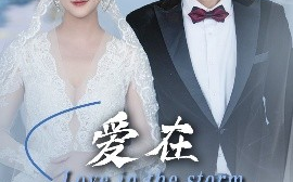 短剧《爱在暴雨时分（55集）董一乐&储芊樾 (2025)》全集免费在线观看