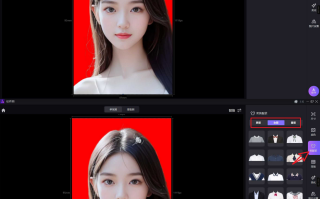 证件照大师Gilisoft SnapID v8.6.0 PC版已激活-超多功能