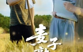 短剧《麦子熟了（52集）冯思源＆宋雯娟 (2025)》全集免费在线观看