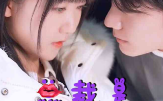 短剧《总裁是闪婚老公（21集全）》免费观看