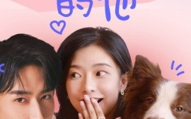 短剧《狗狗祟祟的他 (2025)》全集免费在线观看